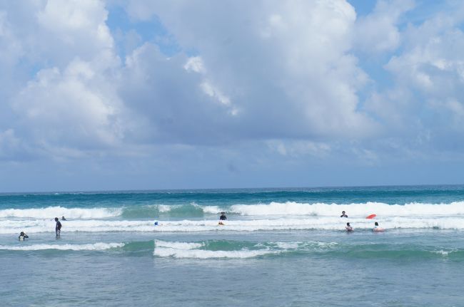 高知に凄い島と海がある<br />と、前から気になっていたところがある<br /><br />なぜか惹かれる県だ<br />その島、西の最果て宿毛沖の鵜来島を後に、清流四万十川の町中村へ<br />高知県は東西に長い<br />この中村は高知駅から西へ特急で２時間近くかかる南国土佐の町<br />そこから南へ３０分<br />足摺岬方面へ走るとこの海、大岐の浜<br /><br />旅２日目は、この海と遊ぶ<br />高知の海のパワーは半端なかったよ<br /><br /><br />前編<br />高知県最果ての秘島、２２人が暮らす鵜来島ツアー<br />http://4travel.jp/travelogue/11041393<br />