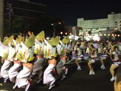 初めての阿波踊り、娘が初参加で親必死！リーフの恩恵で高速道路は片道1,000円！