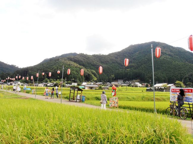 丹波市市島町の鴨庄地区北奥の農道で８月２日から２２日まで第１８回案山子まつりが開催されている。<br />どこか昔懐かしい案山子や今を揺るがすユニークな案山子がおよそ４０体、のどかな山村の夏の風物詩となっている。<br />