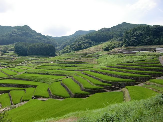 長崎県波佐見町を気ままに一人旅をしました。<br /><br />波佐見焼で知られる焼き物と、自然が豊かな雰囲気が楽しめる観光地です。<br /><br />決してメジャーな観光地ではありませんが、前から気になっていましたので、行ってみました。