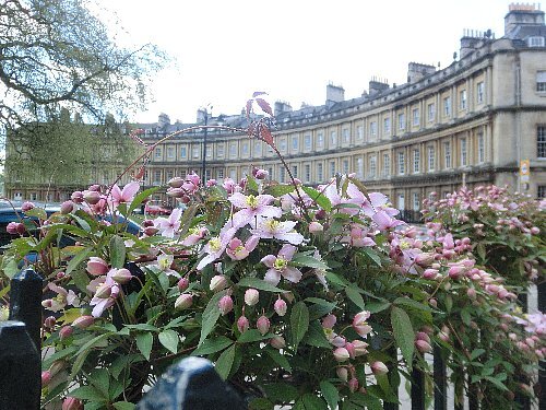 ロンドン二日目はバースへ日帰り旅行です。2年前にロンドン発のツアーバスで行ったものの時間に制限があったので、是非ゆっくりと来たいと思っていたのでした。4/23　羽田空港より出発。ロンドンで乗り換えてアムステルダムへ（2泊）4/24　国立美術館＆ザーンセ・スカンスへ風車を見に行く4/25　ゴッホ美術館　デルフトへ寄ってデン・ハーグへ（2泊）4/26　マウリッツハイス美術館＆キューケンホフ公園4/27　アントワープで途中下車した後、ブリュッセルへ（2泊）4/28　ブリュッセル市内観光＆王立美術館4/29　ユーロスターでロンドンへ、ナショナルギャラリー（4泊）★4/30　バースへ日帰り旅行5/1　テート・ブリテン＆コートールド・ギャラリー＆ノッティングヒル5/2　観光バスでコッツウォルズへ5/3　帰国へ