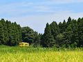 いすみ・大多喜の旅行記
