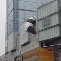 成都ちょびっと市内観光