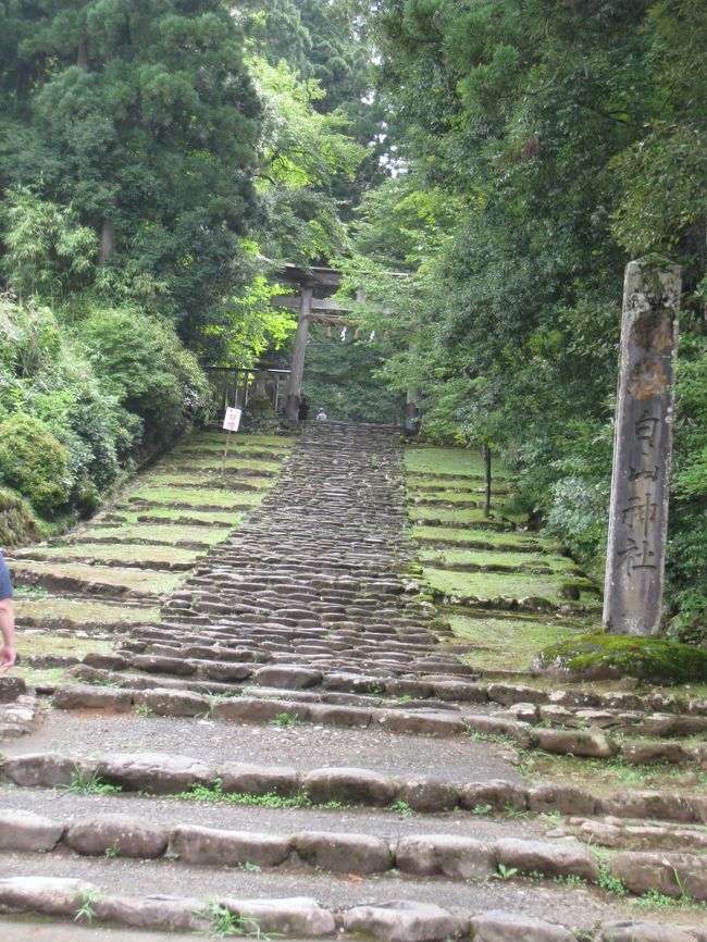 かねてから行きたかった平泉寺白山神社と永平寺へ行ってきました。<br />前日が雨だったのでお天気が心配でしたが出発。途中で小雨にあいましたが到着した頃には雨もあがっていました。