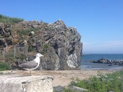 北海道＆東日本パス　八戸～久慈～遠野　2015