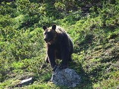 知床でアウトドアざんまい！②～羅臼岳でヒグマに出会う～