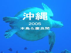 2005　本島ステイ　慶良間ダイビング（７月）