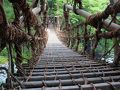 祖谷渓・かずら橋・大歩危の旅行記