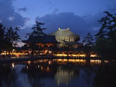 鹿に会いに奈良へ　～薬師寺・奈良公園・東大寺(万灯供養会)～　