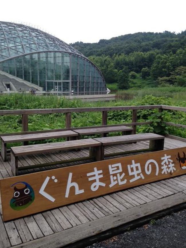 またまた水上高原へ行ってきました。<br />今回は、雪のないシーズン初めての息子と2人旅。<br />肉好きの息子との外出は、とにかく肉、肉、肉、、<br />でもおいしかったぁ(^◇^)<br /><br />しかーし!<br />反抗期の息子との旅は、、、正直面白くない(-_-;)<br />イヤホンしっぱなしだし、口きかないし、話をすれば うるせぇなぁ、、、、、<br />これが2人旅最後、、にしたいです。<br />子離れして、一人旅を満喫したい!そう思わせてくれた旅でもありました。