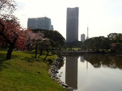Osanpo in Tokyo, spring of 2014
