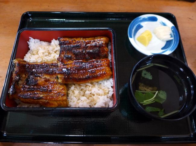 この日の昼食は浜名湖料理 弁天島 山本亭で頂きます。<br /><br />生簀に地元浜名湖で捕れた活魚や車海老が泳ぐお店では、活車海老天丼にしようか迷いましたが、やはり鰻を注文しました。<br />