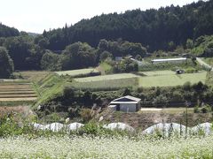 荒神の里　笠そば