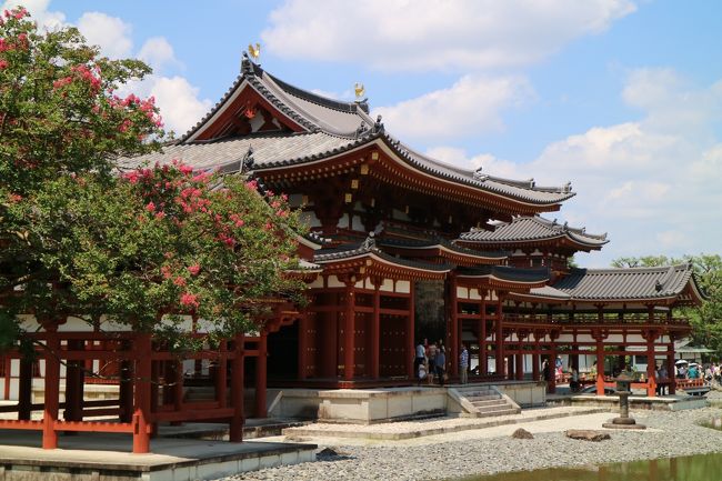 2日目は、宇治平等院＆宇治上神社へ。。。<br /><br />平等院は、自身3回目。<br />世界遺産に相応しい威風堂々とした佇まいでした。<br /><br />宇治川を挟んだトコロにある宇治上神社も世界遺産ですが、認識不足も甚だしく、現存最古の神社建築だそうな。。。<br />お盆の中日の残暑の中、2ヶ所を拝観し、京阪電車で樟葉モールで涼みました。<br /><br />お盆の休日は、天平の甍巡りを楽しみましたが、どうにも暑すぎて、ダウン寸前でした。<br /><br />旅行は、基礎体力が必要です！！！をマジで実感する歳になりました。泣