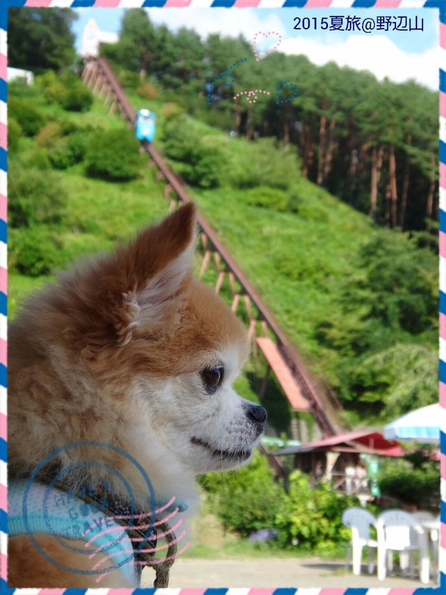 ◆犬旅◆　長野/野辺山【野辺山荘】～車椅子でも安心バリアフリー＆犬(ペット)もＯＫな夏旅～週末２日間(2015.8)