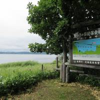 2015 8月　北海道　東へ東へ　サロマ湖へ