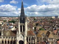 ブルゴーニュ ワイナリー　ツアーの続きはコート・ド・ボーヌ　～ディジョンを上から眺め…　帰国