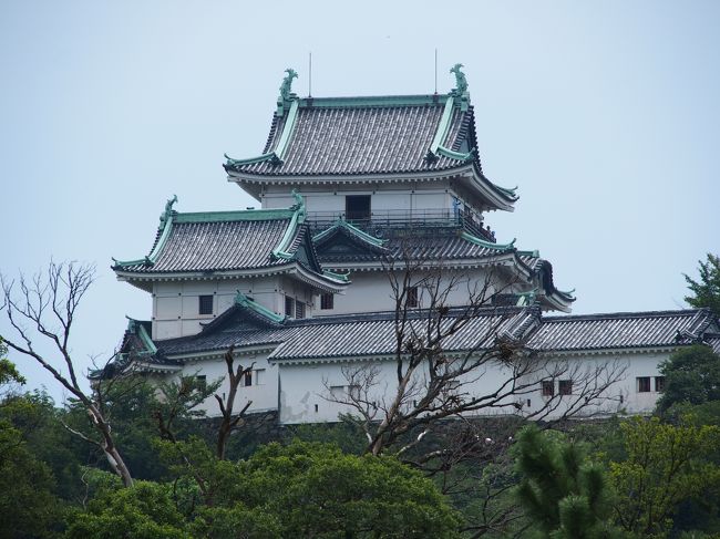 ちらちら雨に降られながらも和歌山城と大混雑の大阪城でスタンプもらって大阪南港フェリーまで♪
