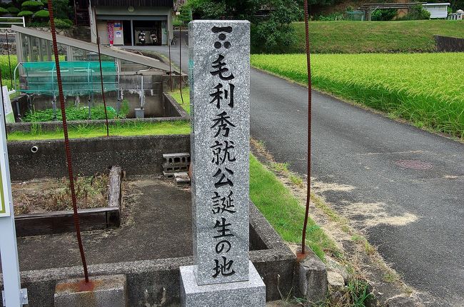 長州藩初代藩主、毛利秀就の出生は広島というのが定説であるが、実は山口県は宇部市小野地区であったとの歴史を覆す異論が発表され、地元をあげて毛利秀就誕生地を名乗り、当地に母親である毛利輝元の側室二の丸やお産のために屋敷を貸した地元の領主財満家の方々の縁のモニュメントもあります。2009年に研究成果が発表され2013年頃に各建立物が作られたようです。<br />財満家と二の丸様の繋がりや毛利秀就の秘話も明らかにされていて実に興味深いです。