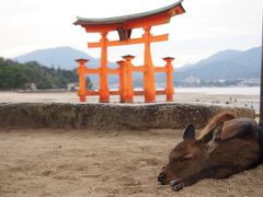 秋の広島（２泊３日）１日目　世界遺産の厳島神社と宮島を堪能する