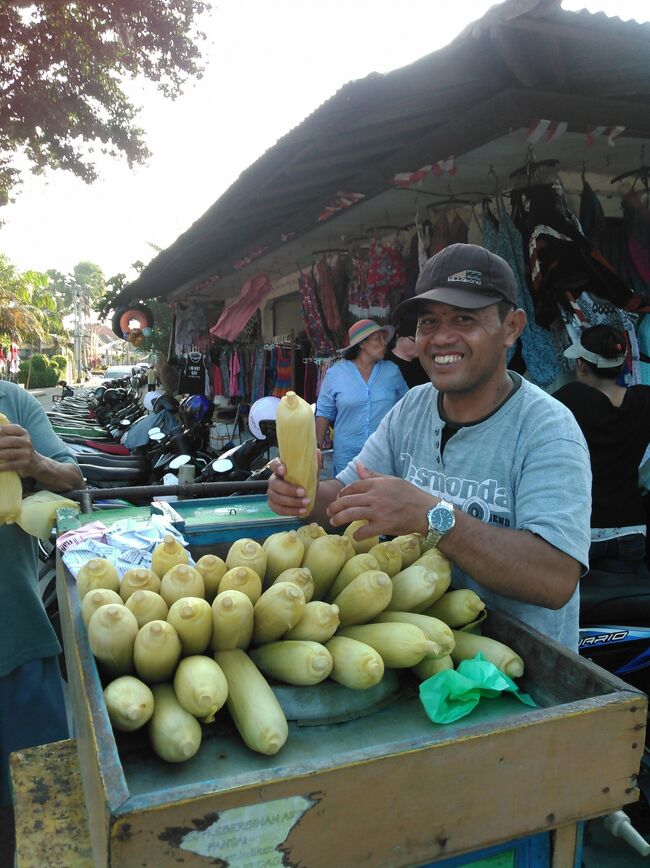 2015 夏 Oasis Lagoon