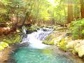 河津温泉郷・今井浜の旅行記