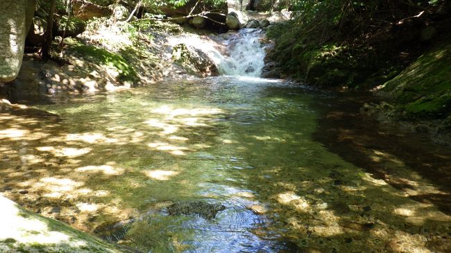 本来の予定は野洲川・松山谷を遡行し、西鎌尾根に突上げ鎌ｹ岳〜岳峠〜ニゴリ谷を下山でしたが、前日の大雨洪水警報の影響で鈴鹿スカイライン（Ｒ４７７）が通行止めの為、急遽石谷川に変更。<br />暑いこの時期、沢登りできればどこでも良し、水遊びを楽しんできました。