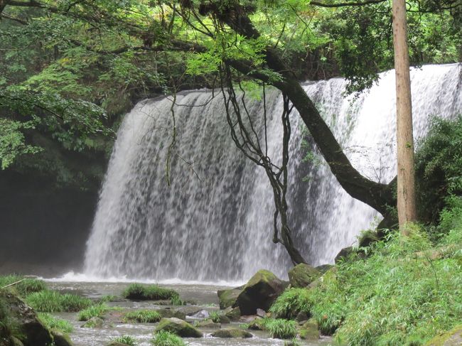 伊丹を出発して熊本空港に降りると、土砂降りの大雨。<br />予定では阿蘇山に登ってから、高千穂方面に向かうことになっていたが、見通し悪く、草千里あたりで引き返して、瀬の本方面に向かうという大幅な予定変更となった。<br />翌日に予定していた観光地を先に回り、あとは天気次第ということになる。<br />