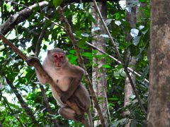 タイ旅行２日目　カンチャナブリー　エラワンの滝でたっぷりマイナスイオン