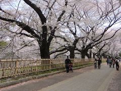 桜咲く名古屋訪問