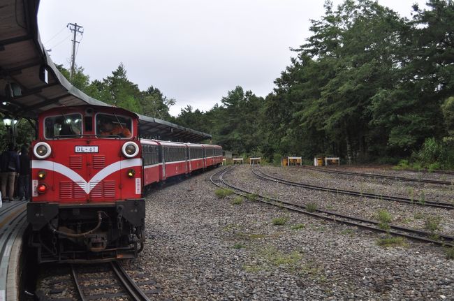 2015年8月5度目の台湾旅行6（阿里山森林鉄路祝山線でご来光）