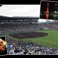 ぶらぶらっと行く甲子園　　３０年くらいぶり２回目の聖地は１００年目の熱い夏でした