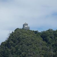 犬山城と岐阜城！岐阜城キツかったです！