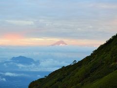 「こまくさ」と岩峰の八ヶ岳