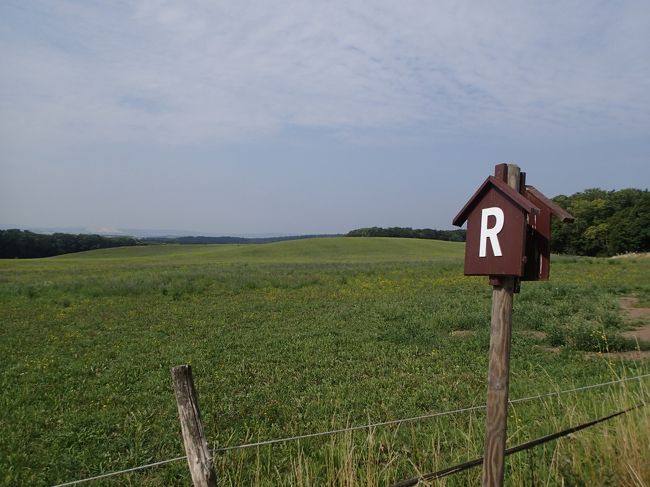 ドイツ中部、テューリンゲンの森を縦断するトレイル「Rennsteig」を歩きました。道標などはよく整備されているけど水場がないのはつらい。