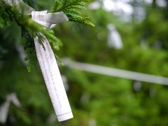 暑気払いは日光旅＠日光東照宮*二荒山神社本社*湖畔の湯*竜頭の滝