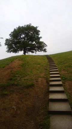 清水ヶ丘公園