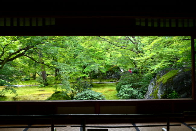 京の夏の旅　宝厳院に入ります。<br />特別公開として本堂の公開があります。<br />6年前に本堂が創建された時、落成法要の前に一般公開されました。<br />その時も訪問しましがまだ襖絵もなくヒノキの香りに心が落ち着いた記憶があります。<br />通常非公開寺院ですが春と秋そして紅葉のライトアップと楽しめます。<br /><br />先日、不整脈精密検査の結果がでました。<br />何にも心配要らないそうです。<br />これでまた心置きなく京都を歩きまわれます(*&#39;ー&#39;*)ふふっ♪<br />