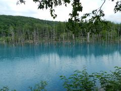 美瑛の『青い池』◆2015初夏の爽やか北海道／花とグルメな旅≪その５≫