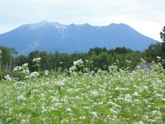 2015.8　暑さ逃れ、涼し開田高原へ