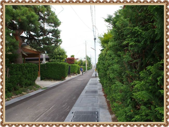 緑のサワラ生垣と、黒板塀が美しい・・・弘前の仲町武家屋敷街