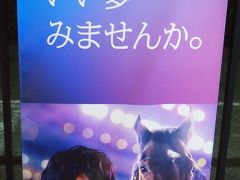 「夜は、いい夢みませんか。」って斎藤工が微笑みかけてるよ♪　大井競馬場トゥインクルレースへ行ってきた～! 　仕事帰りの大人が楽しめる場所がここにはあった～! (2015年8月)