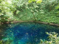 家族でドライヴ　青森の旅　（１日目）