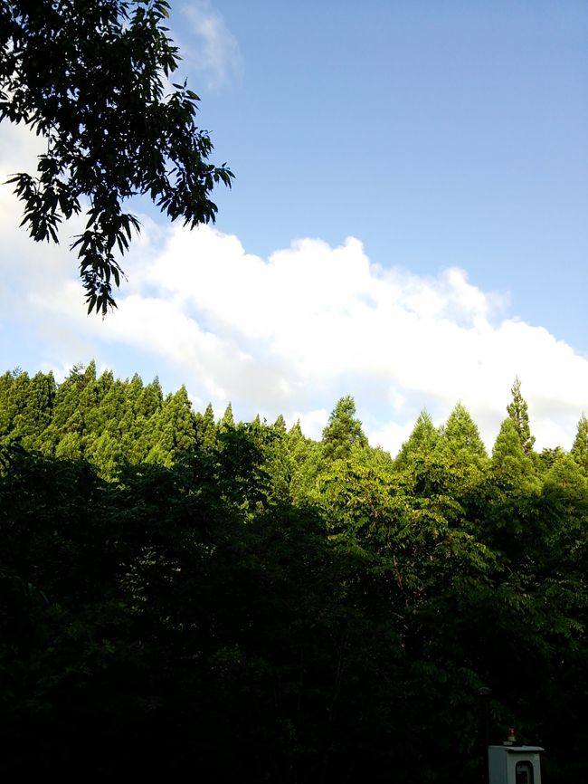 実母の故郷へ子供を連れていってきました。昨年はホテル宿泊でしたが、今年は近くの湯の原温泉オートキャンプ場の予約がとれたので、コテージ泊しました。<br />自分が子供のころ遊んだ川で子供たちが遊ぶ姿をみてほほえましく思いました。温泉では母とゆっくりつかり、来年も同じ時間を過ごしたいと強く思いました。<br />ゆっくりと心のリラックスができました。