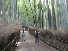 夏休み！京都、大阪、神戸の旅☆