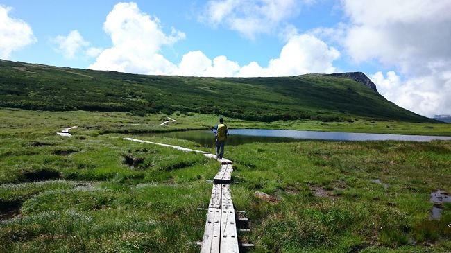 宿泊登山2日目〜フェリーで帰宅するまで。<br /><br /><br />13日（木）北海道8日目の朝は、爽快で快晴の山日和の天候でした。<br />遥か遠くのトムラウシ山がくっきりと綺麗に見られました。<br /><br />白雲避難小屋から化雲岳までの往復で出発しました。<br />宿泊登山者とは荷物が違うので、3時間掛らずして忠別岳に到着しました。<br />ここまで大変天候も良かったのですが、みるみるうちに忠別避難小屋の先から以遠が真っ白になって視界がなくなってしまう程ガスが発生してきたので、トムラウシ山の眺望が期待できないため、ここで引き返し、かえって登り損ねている白雲岳に登ることにしました。<br /><br />戻る途中にまた大雨に降られましたが無事にテン場に戻り、その後また天気も回復し、夜には綺麗な星空を堪能しました。<br /><br /><br /><br />最終日は、雨は降らずとも生憎の視界のない下山道となりましたが、徐々に天気も回復し下山した時には、晴れた天気の中、帰路に向かいました。<br />道中やや混雑がありましたが、余裕をもってフェリー乗り場に着き無事に自宅に戻られ、今回も楽しい旅を終えました。