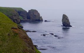 2015.6網走・知床・霧多布旅行11-火散布沼，涙岬，原生花園あやめケ原，末広海岸，国泰寺