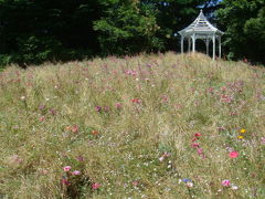 英国風庭園ブルーボネット