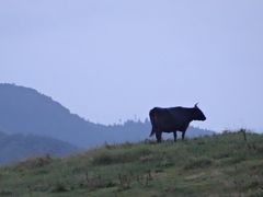 隠岐の島3泊4日が台風15号の為に・・・ 