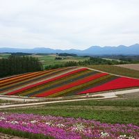 初一人旅　旭川＆美瑛（１）